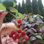 Валентина, 66