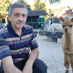 Вальдемар, 61