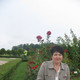 IRITA, 68