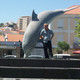 petr, 62