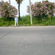 inal, 55