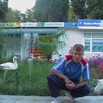 Алекс Сан, 42