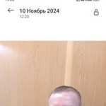 сергей, 51 (1 фото, 0 видео)