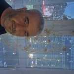 Zaur Mirzai, 42
